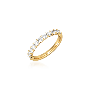 Anel Promise Setting