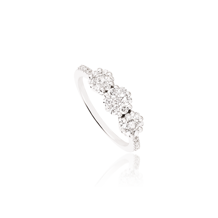 David Rosas Anel Jasmim