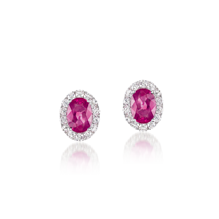 David Rosas Brincos Iris