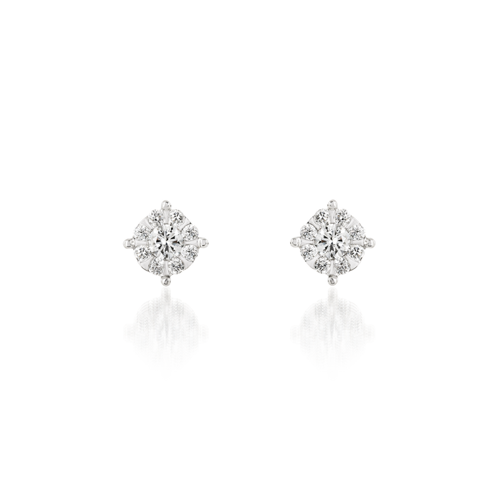 David Rosas Brincos Marygold