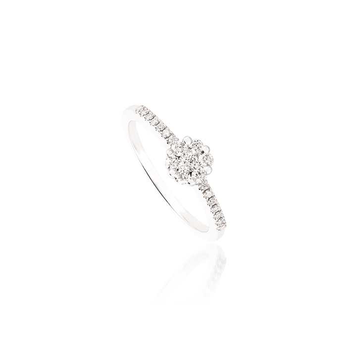 David Rosas Anel Jasmim