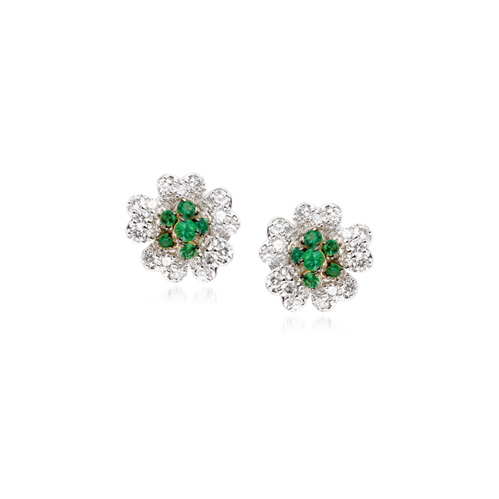 David Rosas Brincos Fiori