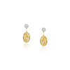 Brincos Tribe
