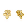 Brincos Jasmine