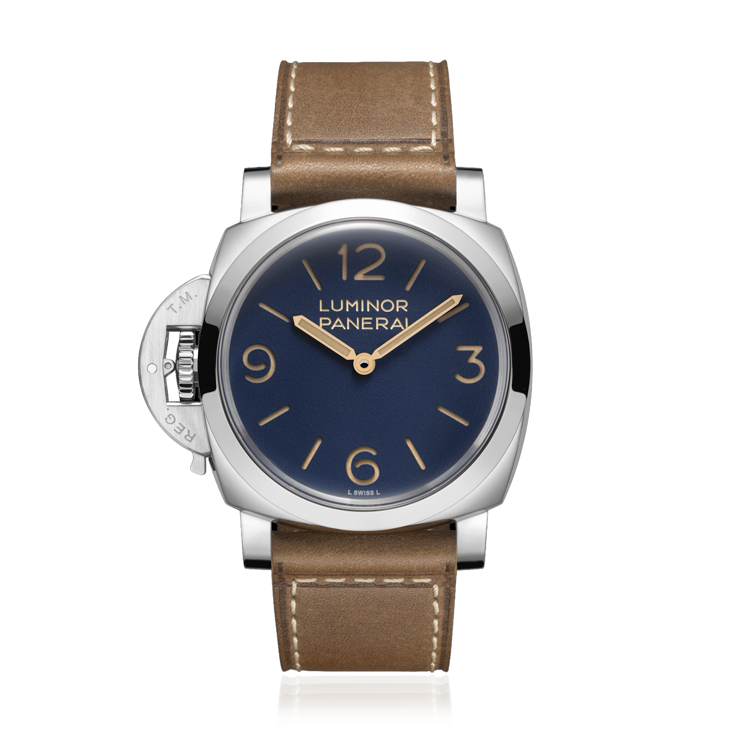 PAM01732