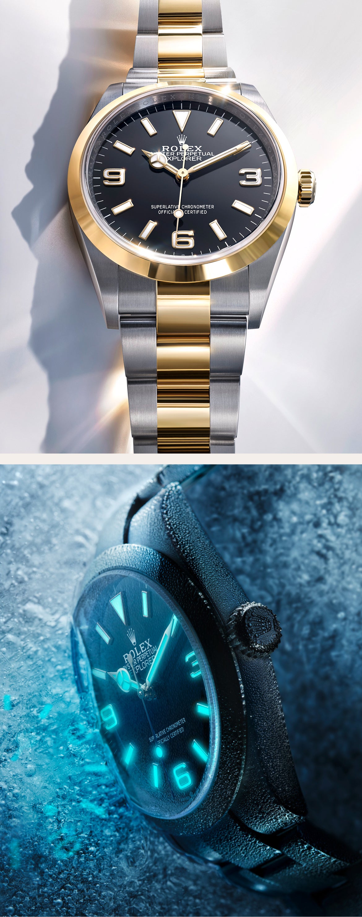 Relógios Explorer Rolex | David Rosas